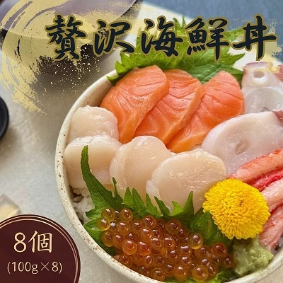 【北海道北見市加工】贅沢海鮮丼8個入りセット
