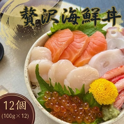 【北海道北見市加工】贅沢海鮮丼12個入りセット