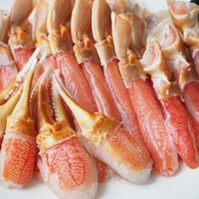 北見市加工　生冷本ズワイ鍋セット700g(鍋つゆ付)