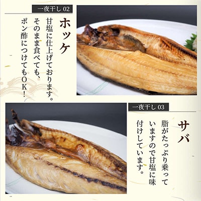 一夜干し5種(各1枚)セット(キンキ入り)