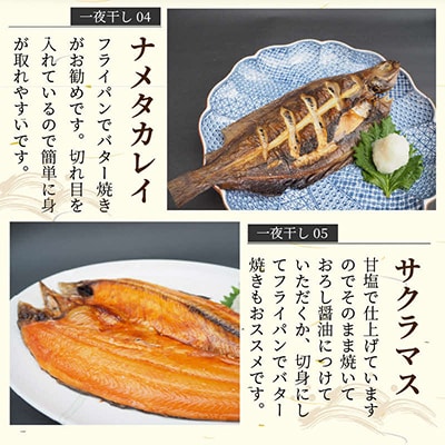 一夜干し5種(各1枚)セット(キンキ入り)