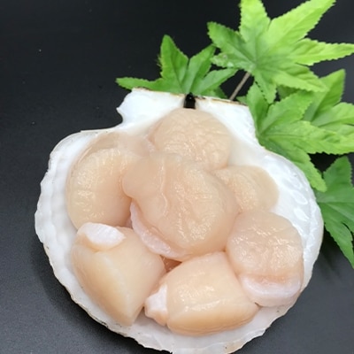 2022年2月発送開始『定期便』北海道 ほたて貝柱1.2kg(300g×4箱) 全3回