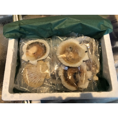 【さとふる限定】漁師が作った美味しい片貝ホタテ10枚