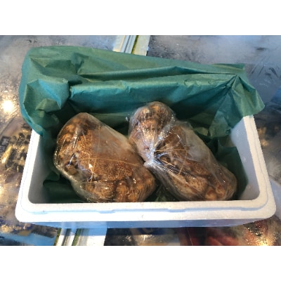 【さとふる限定】漁師が茹でた毛蟹2尾