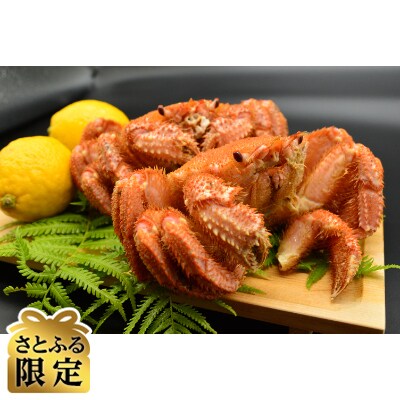 【さとふる限定】先行受付　海明け活〆浜茹で毛蟹2尾冷蔵便届けセット