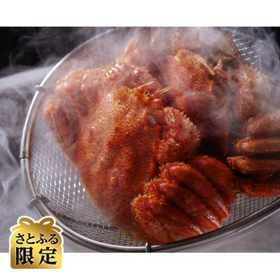 【さとふる限定】先行受付・活〆流氷海明け特大毛蟹2尾セット(冷蔵便)
