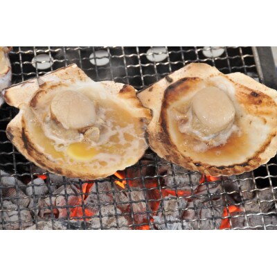 【さとふる限定】捕れたて新鮮活帆立　32枚　冷蔵便届け