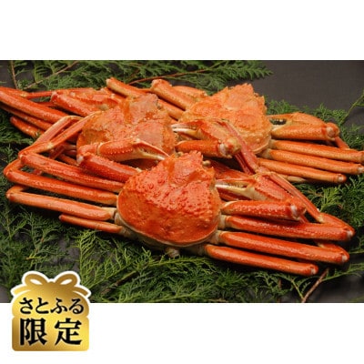 【さとふる限定】活〆茹でズワイ蟹3尾セット【数量限定】