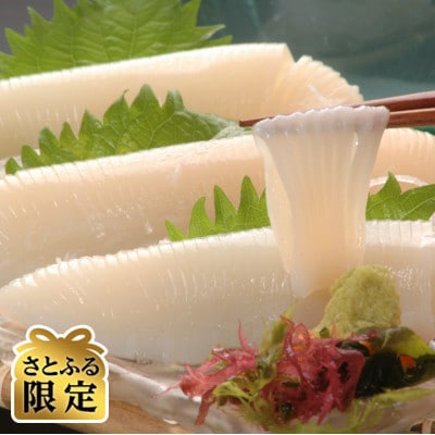 【さとふる限定】美味お刺身帆立(500g)&イカソーメン(450g)セット
