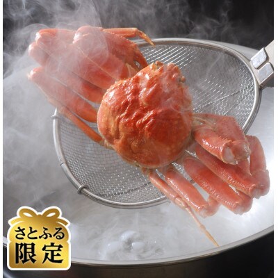 【さとふる限定】美味茹でズワイ蟹1尾(600g)捌いてお届けセット