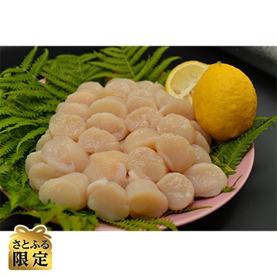 【さとふる限定】訳あり 無添加お刺身帆立 大満足1kgセット