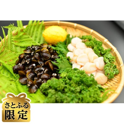【さとふる限定】無添加お刺身帆立と大粒しじみ貝各500gで合計1kgセット