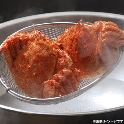 【さとふる限定】オホーツク海の流氷海明け茹で毛蟹 1尾(約300g)
