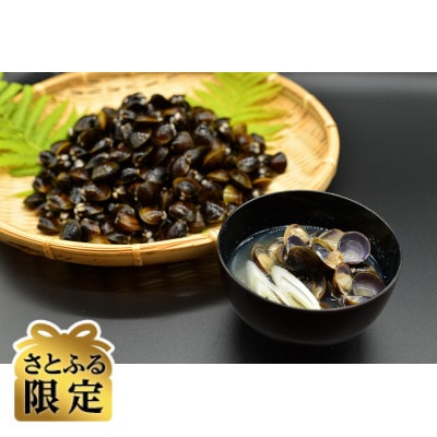 【さとふる限定】2代目漁師の厳選した大粒の砂出ししじみ 500g×10袋 合計5kgセット