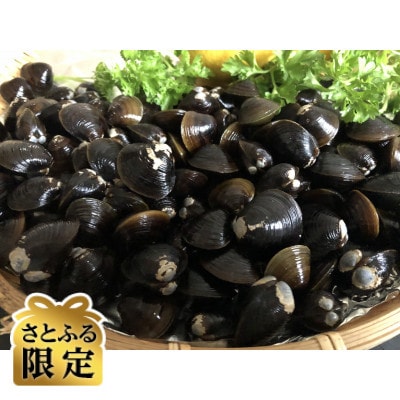 【さとふる限定】さとふる限定・2代目漁師の厳選した天然無添加大粒しじみ貝 200g×4袋
