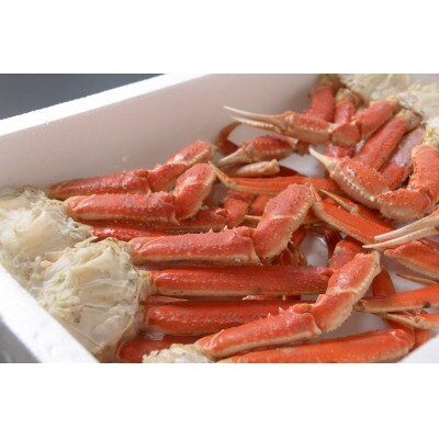 【さとふる限定】2代目漁師の厳選した活〆茹でズワイ蟹脚約1kg