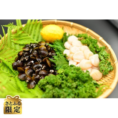 【毎月定期便】【さとふる限定】無添加お刺身帆立1kg&大粒しじみ1kgの計2kg定期便　全3回