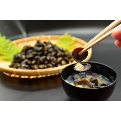 【毎月定期便】【さとふる限定】無添加お刺身帆立1kg&大粒しじみ1kgの計2kg定期便　全3回