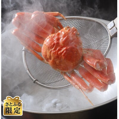 【毎月定期便】【さとふる限定】美味ズワイ蟹尽くし定期便　全3回