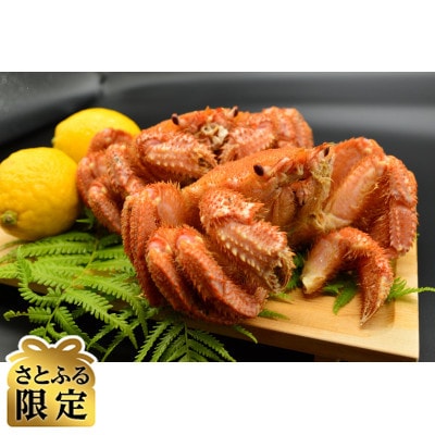 【さとふる限定】年末年始の海鮮グルメA(海鮮グルメ5点・茹タラバ蟹脚約2.6kg)【複数個口で配送】