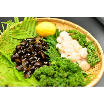 【毎月定期便】【さとふる限定】北の味覚 いくら・帆立・ズワイ蟹・しじみ・イカ・しじみ・ほっけ全6回