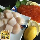 【毎月定期便】【さとふる限定】2代目漁師の厳選いくら醤油漬け(1瓶)&お刺身帆立(200g)全5回