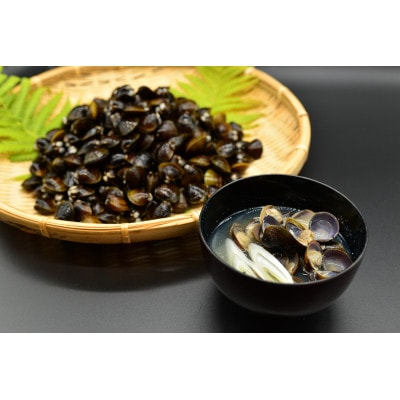 【毎月定期便】2代目漁師の厳選した無添加大粒しじみ貝　1kg(500g×2袋)全10回