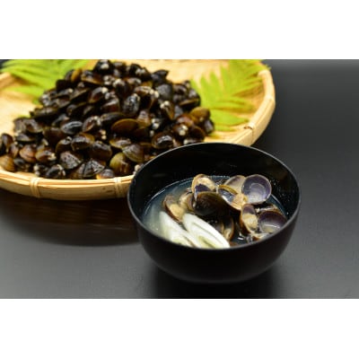 【毎月定期便】2代目漁師の厳選した無添加大粒しじみ貝　1kg(500g×2袋)全10回