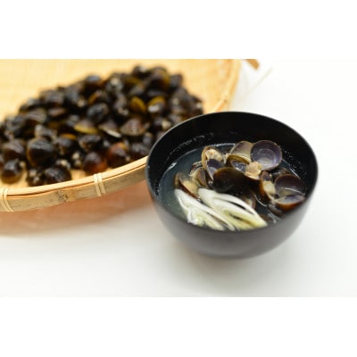 【毎月定期便】【さとふる限定】人気・2代目漁師の厳選した北の味覚をお届け 大粒しじみ貝全6回