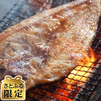 【毎月定期便】【さとふる限定】人気・2代目漁師の厳選した北の味覚をお届け 開きほっけ全5回