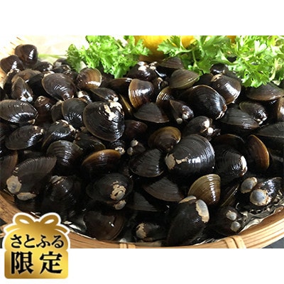 【毎月定期便】【さとふる限定】人気の定期便・2代目漁師の厳選した北の味覚をお届け全3回