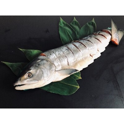 2022年6月発送開始『定期便』【さとふる限定】お魚三昧セット全3回