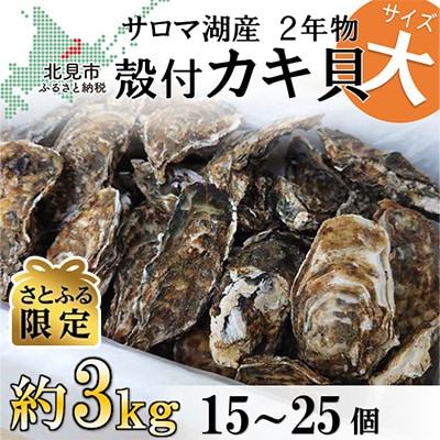 さとふる限定】サロマ湖産殻付き2年牡蠣 大 約3kg(約15個～25個) | お