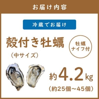 【さとふる限定】サロマ湖産殻付き2年牡蠣　中　約4.2kg(約25個～45個)