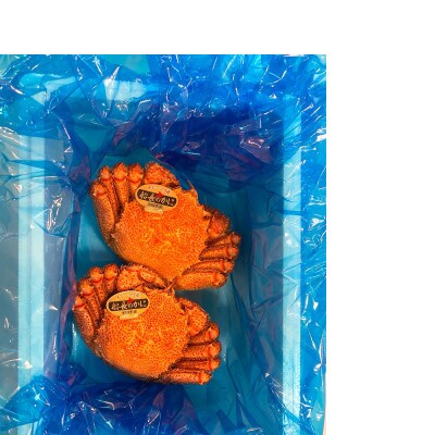 オホーツク海産　浜茹で毛がに　約450g×2ハイ