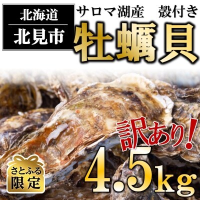 【さとふる限定】サロマ湖産殻付きカキ貝　わけあり(大きさ不揃い)　約4.5kg詰め