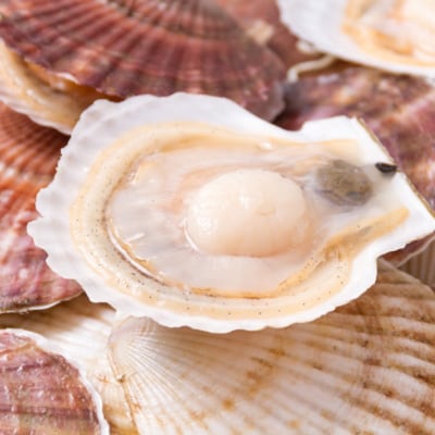 オホーツク海産　ほたて貝　4kg(15～30枚)
