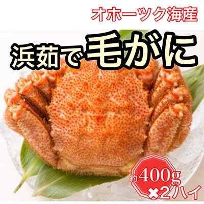 オホーツク海産　浜茹で毛がに　約400g×2ハイ(冷蔵)