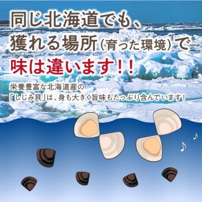 北海道産 冷凍しじみ貝 400g×3袋