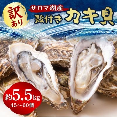 【訳あり】サロマ湖殻付きカキ貝(大きさ不揃い) 約5.5kg詰め