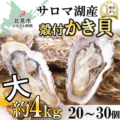 サロマ湖産 自慢の殻付きカキ貝(大) 4.0kg詰め