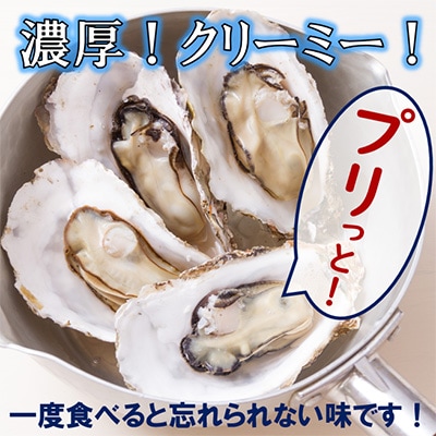 サロマ湖産 自慢の殻付きカキ貝(大) 4.0kg詰め