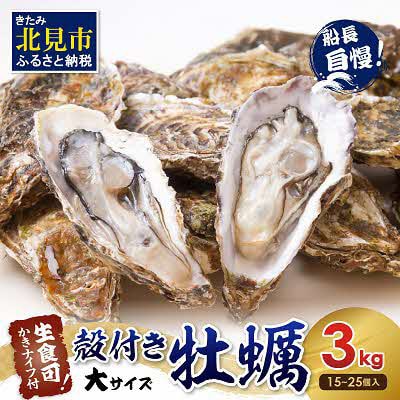 【2025年10月より順次発送予定】サロマ湖　自慢のかき貝(2年物・大)3.0kg