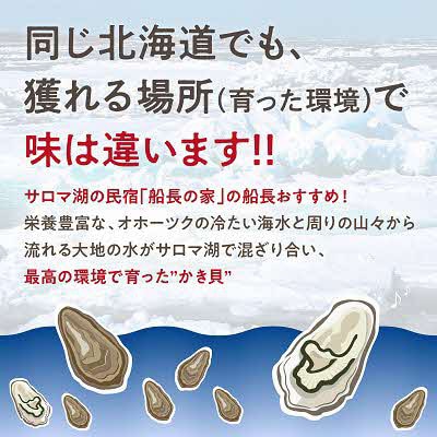 【2025年10月より順次発送予定】サロマ湖　自慢のかき貝(2年物・大)3.0kg