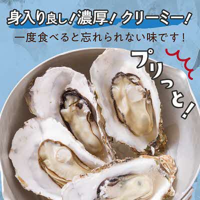 【2025年10月より順次発送予定】サロマ湖　自慢のかき貝(2年物・大)3.0kg