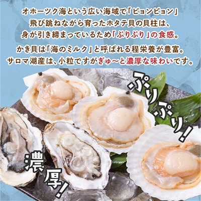 ほたて貝(大・10枚)・カキ貝(2年物・10個)【2025年度10月中旬から順次発送!!】