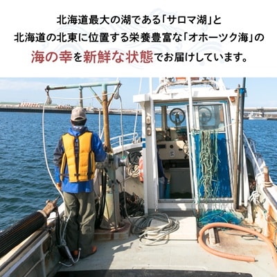 ズワイガニの甲羅盛り　5個入り