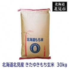 北海道産 きたゆきもち 玄米 30kg