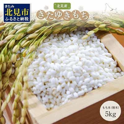 北海道産　きたゆきもち　精白米　5kg