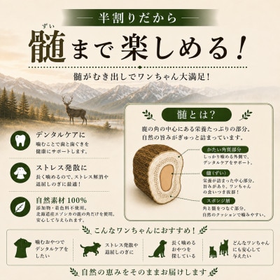 北海道産エゾシカ 鹿の角 Mサイズ 半割り2本セット 約15cm 小型犬・中型犬用